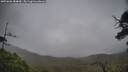 ./images/calvert/fitz-hugh-hecate/20250626/fitz-hugh-hecate20250626_184010M.jpg