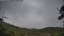 ./images/calvert/fitz-hugh-hecate/20250626/fitz-hugh-hecate20250626_184511M.jpg