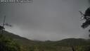 ./images/calvert/fitz-hugh-hecate/20250626/fitz-hugh-hecate20250626_185010M.jpg