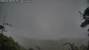 ./images/calvert/fitz-hugh-hecate/20250626/fitz-hugh-hecate20250626_185510M.jpg