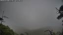 ./images/calvert/fitz-hugh-hecate/20250626/fitz-hugh-hecate20250626_190009M.jpg