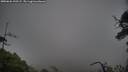 ./images/calvert/fitz-hugh-hecate/20250626/fitz-hugh-hecate20250626_190507M.jpg