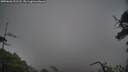 ./images/calvert/fitz-hugh-hecate/20250626/fitz-hugh-hecate20250626_191508M.jpg