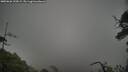 ./images/calvert/fitz-hugh-hecate/20250626/fitz-hugh-hecate20250626_192008M.jpg