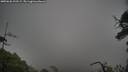 ./images/calvert/fitz-hugh-hecate/20250626/fitz-hugh-hecate20250626_192508M.jpg