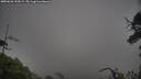 ./images/calvert/fitz-hugh-hecate/20250626/fitz-hugh-hecate20250626_194509M.jpg