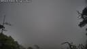 ./images/calvert/fitz-hugh-hecate/20250626/fitz-hugh-hecate20250626_195010M.jpg