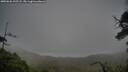 ./images/calvert/fitz-hugh-hecate/20250626/fitz-hugh-hecate20250626_195508M.jpg