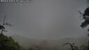 ./images/calvert/fitz-hugh-hecate/20250626/fitz-hugh-hecate20250626_200008M.jpg