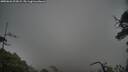 ./images/calvert/fitz-hugh-hecate/20250626/fitz-hugh-hecate20250626_203008M.jpg