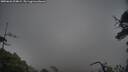 ./images/calvert/fitz-hugh-hecate/20250626/fitz-hugh-hecate20250626_204009M.jpg