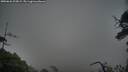 ./images/calvert/fitz-hugh-hecate/20250626/fitz-hugh-hecate20250626_205009M.jpg