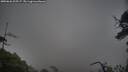 ./images/calvert/fitz-hugh-hecate/20250626/fitz-hugh-hecate20250626_205507M.jpg