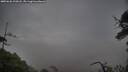 ./images/calvert/fitz-hugh-hecate/20250626/fitz-hugh-hecate20250626_210007M.jpg