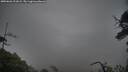 ./images/calvert/fitz-hugh-hecate/20250626/fitz-hugh-hecate20250626_211009M.jpg