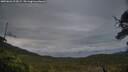 ./images/calvert/fitz-hugh-hecate/20250626/fitz-hugh-hecate20250626_213009M.jpg