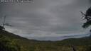./images/calvert/fitz-hugh-hecate/20250626/fitz-hugh-hecate20250626_213506M.jpg