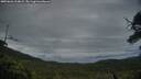 ./images/calvert/fitz-hugh-hecate/20250626/fitz-hugh-hecate20250626_214008M.jpg