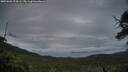 ./images/calvert/fitz-hugh-hecate/20250626/fitz-hugh-hecate20250626_214506M.jpg