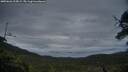 ./images/calvert/fitz-hugh-hecate/20250626/fitz-hugh-hecate20250626_215009M.jpg