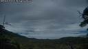./images/calvert/fitz-hugh-hecate/20250626/fitz-hugh-hecate20250626_221508M.jpg