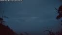 ./images/calvert/fitz-hugh-hecate/20250626/fitz-hugh-hecate20250626_224008M.jpg