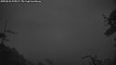 ./images/calvert/fitz-hugh-hecate/20250626/fitz-hugh-hecate20250626_225009M.jpg