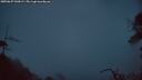 ./images/calvert/fitz-hugh-hecate/20250627/fitz-hugh-hecate20250627_043008M.jpg