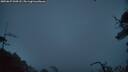 ./images/calvert/fitz-hugh-hecate/20250627/fitz-hugh-hecate20250627_044507M.jpg