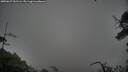 ./images/calvert/fitz-hugh-hecate/20250627/fitz-hugh-hecate20250627_051506M.jpg