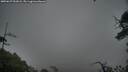 ./images/calvert/fitz-hugh-hecate/20250627/fitz-hugh-hecate20250627_052008M.jpg