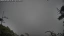 ./images/calvert/fitz-hugh-hecate/20250627/fitz-hugh-hecate20250627_052509M.jpg