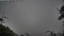 ./images/calvert/fitz-hugh-hecate/20250627/fitz-hugh-hecate20250627_053009M.jpg