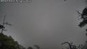 ./images/calvert/fitz-hugh-hecate/20250627/fitz-hugh-hecate20250627_053508M.jpg