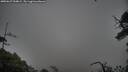 ./images/calvert/fitz-hugh-hecate/20250627/fitz-hugh-hecate20250627_054009M.jpg