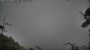 ./images/calvert/fitz-hugh-hecate/20250627/fitz-hugh-hecate20250627_054507M.jpg