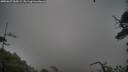 ./images/calvert/fitz-hugh-hecate/20250627/fitz-hugh-hecate20250627_055008M.jpg