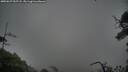 ./images/calvert/fitz-hugh-hecate/20250627/fitz-hugh-hecate20250627_055508M.jpg