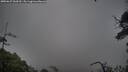 ./images/calvert/fitz-hugh-hecate/20250627/fitz-hugh-hecate20250627_060510M.jpg