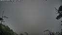./images/calvert/fitz-hugh-hecate/20250627/fitz-hugh-hecate20250627_062014M.jpg