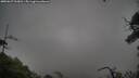 ./images/calvert/fitz-hugh-hecate/20250627/fitz-hugh-hecate20250627_063014M.jpg