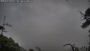 ./images/calvert/fitz-hugh-hecate/20250627/fitz-hugh-hecate20250627_063514M.jpg