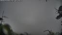 ./images/calvert/fitz-hugh-hecate/20250627/fitz-hugh-hecate20250627_065013M.jpg