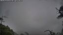 ./images/calvert/fitz-hugh-hecate/20250627/fitz-hugh-hecate20250627_065513M.jpg