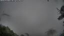 ./images/calvert/fitz-hugh-hecate/20250627/fitz-hugh-hecate20250627_070013M.jpg
