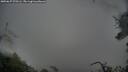 ./images/calvert/fitz-hugh-hecate/20250627/fitz-hugh-hecate20250627_070505M.jpg