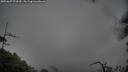 ./images/calvert/fitz-hugh-hecate/20250627/fitz-hugh-hecate20250627_071010M.jpg