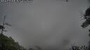 ./images/calvert/fitz-hugh-hecate/20250627/fitz-hugh-hecate20250627_071510M.jpg