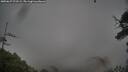 ./images/calvert/fitz-hugh-hecate/20250627/fitz-hugh-hecate20250627_072509M.jpg
