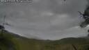 ./images/calvert/fitz-hugh-hecate/20250627/fitz-hugh-hecate20250627_073510M.jpg